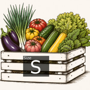 Panier bio saison S ratatouille
