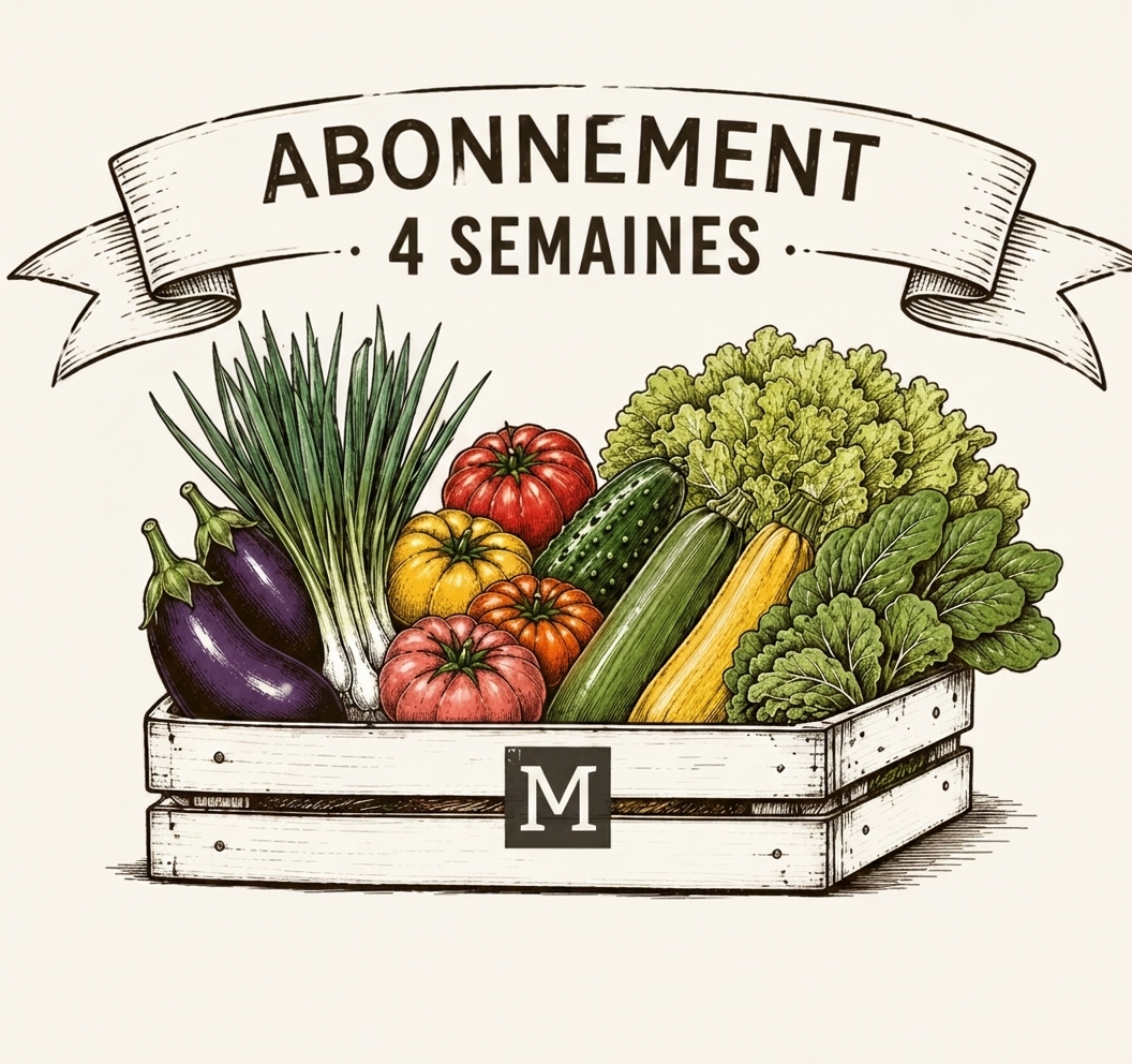 Abonnement panier de saison M Abonnement panier de saison M