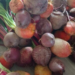 Betterave bio couleur