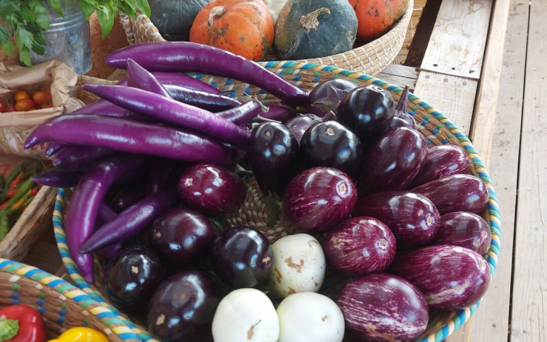 Un automne au Cellier