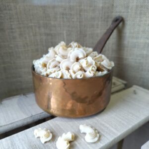 Pâtes seiche (Creste) dans une casserole en cuivre