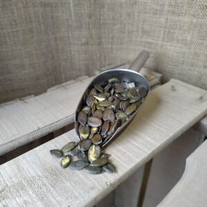 Graines de courges dans une pelle de service