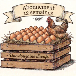 Abonnement 12 semaines une douzaine d'oeufs