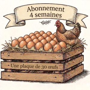 Une plaque de 30 oeufs extra frais bio