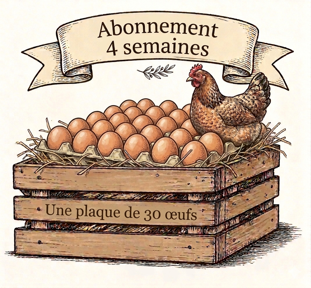 Une plaque de 30 oeufs extra frais bio Une plaque de 30 oeufs extra frais bio